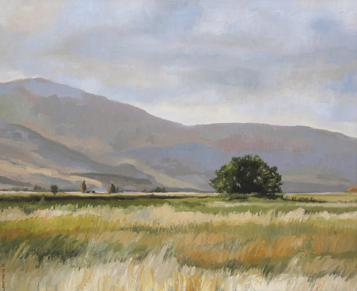 Fields