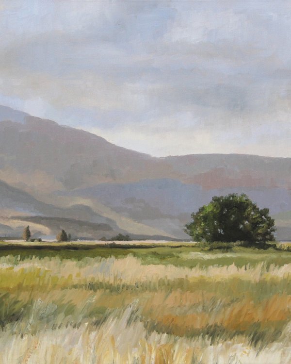 Fields