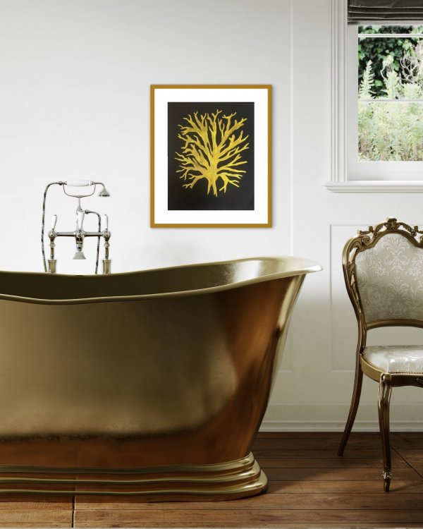 Gold Coral