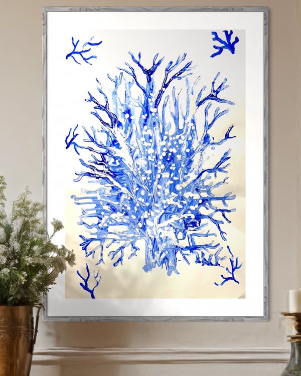 Blue Coral