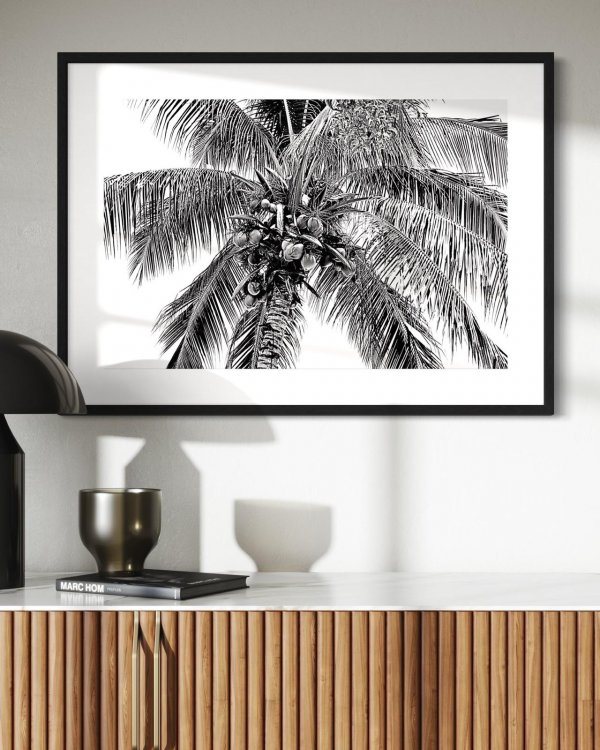 Palm Detail