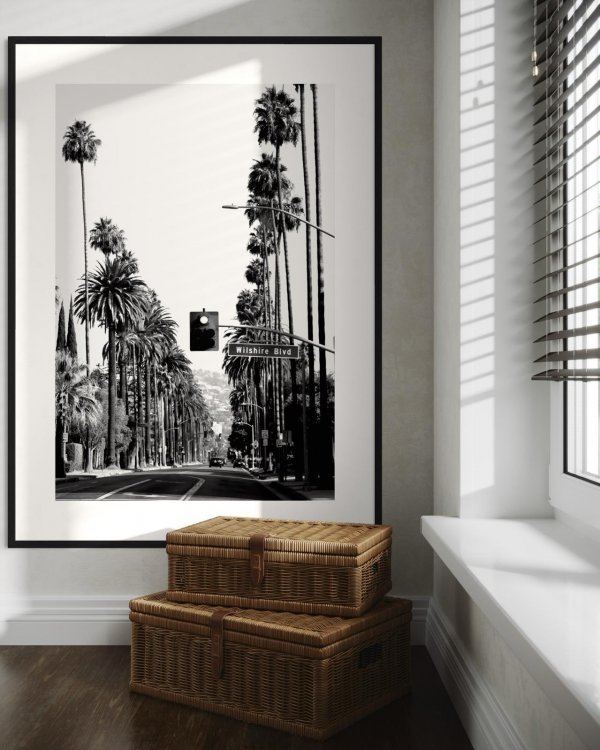 La Palms