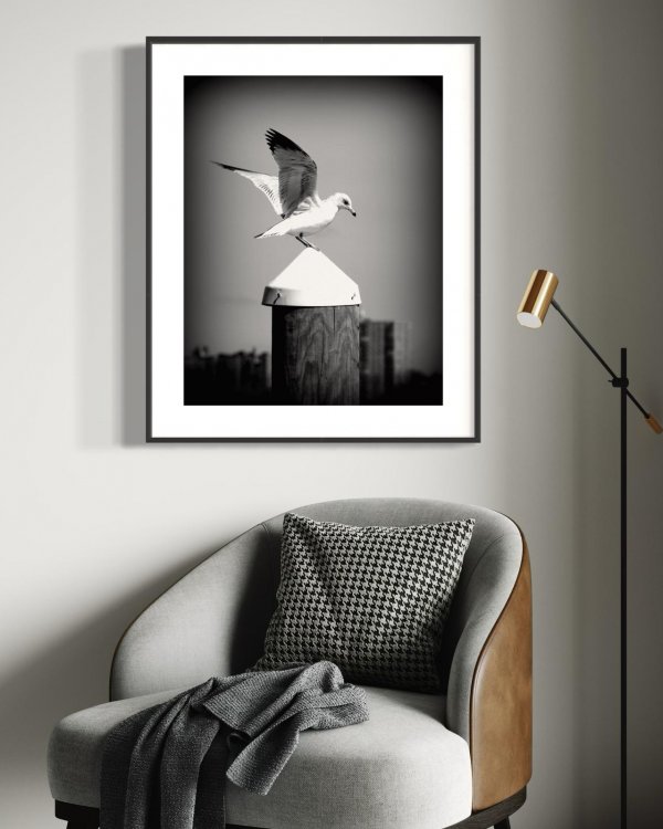 Seagull Landing