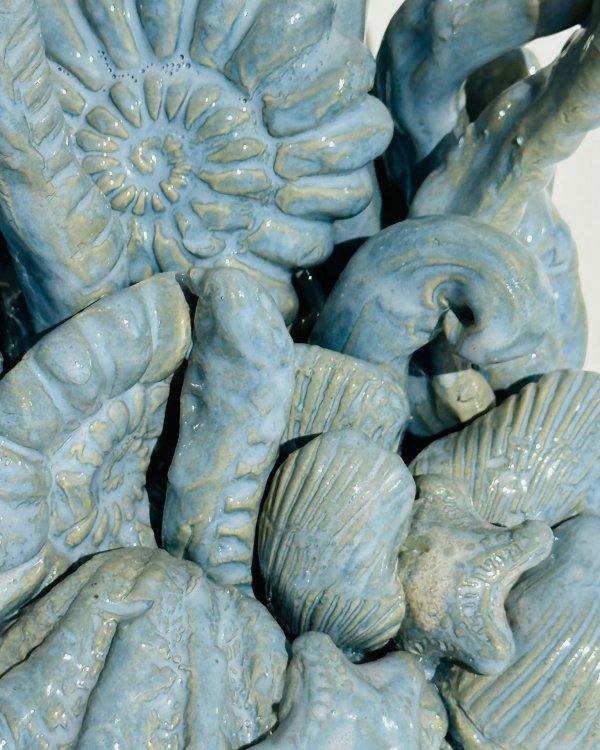 Ocean Shell Harmony