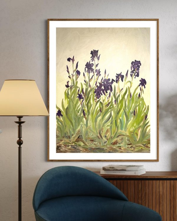 Iris Blooms