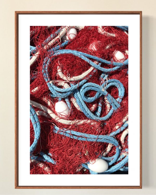Blue and Red Net